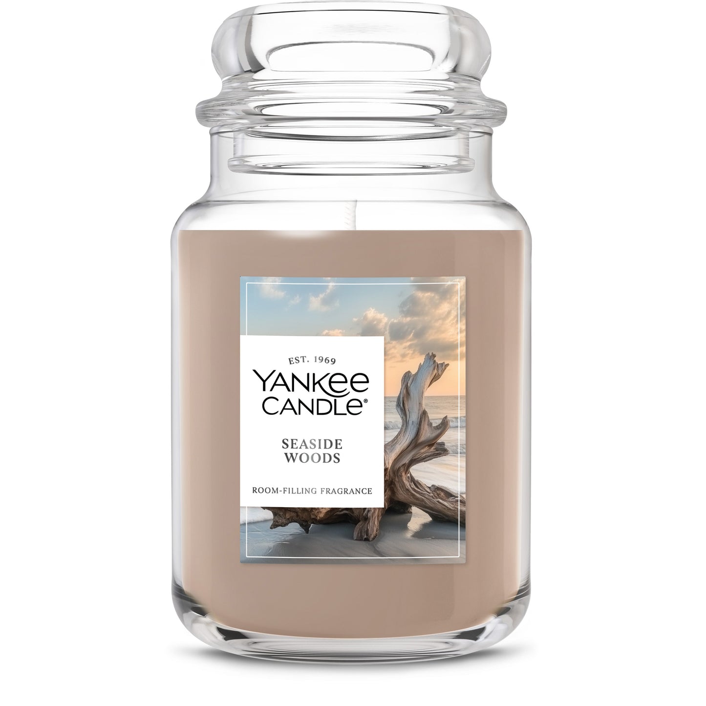 Seaside Woods Studio 3-0793