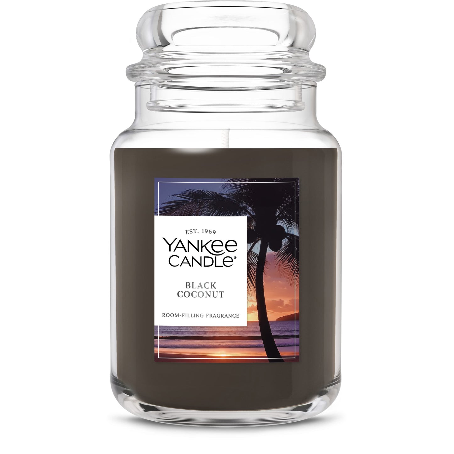 Black Coconut Series 3-0220