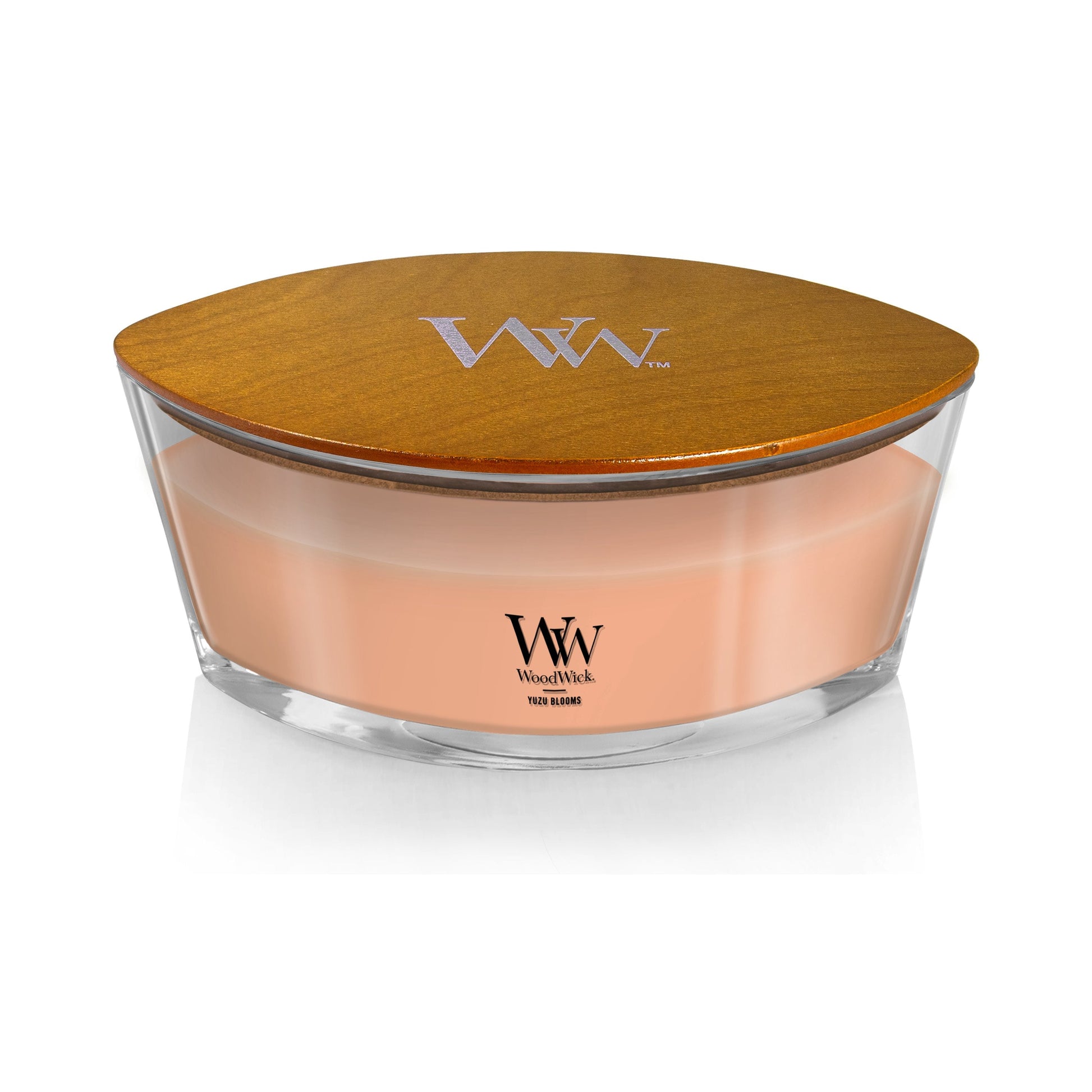 Yuzu Blooms